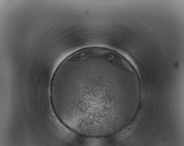 X0000089970951200707061158