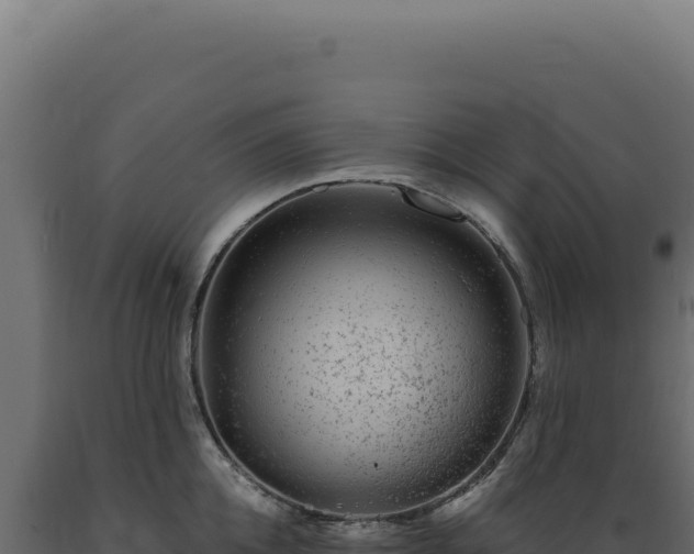 X0000089970952200707061158