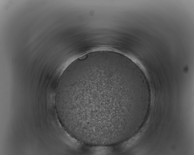 X0000089970953200707061158