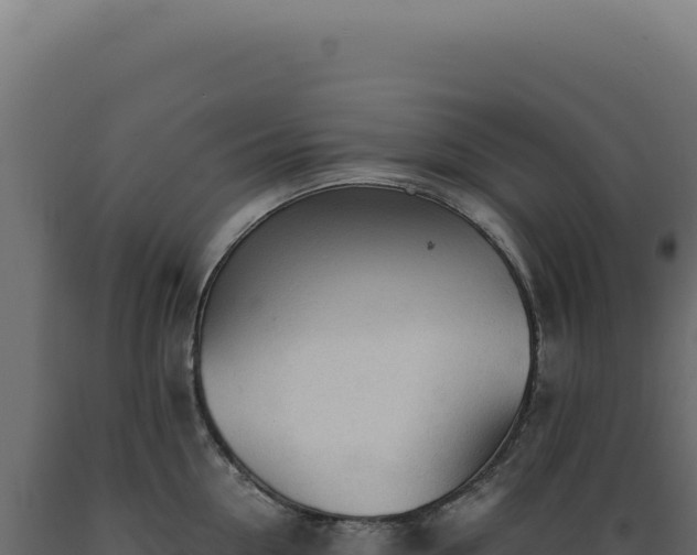 X0000089970954200707061158
