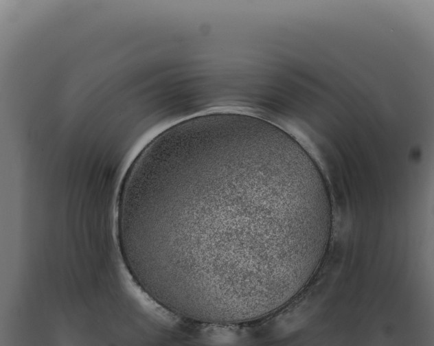 X0000089970955200707061158