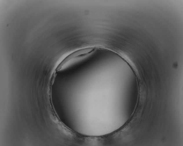 X0000089970956200707061158