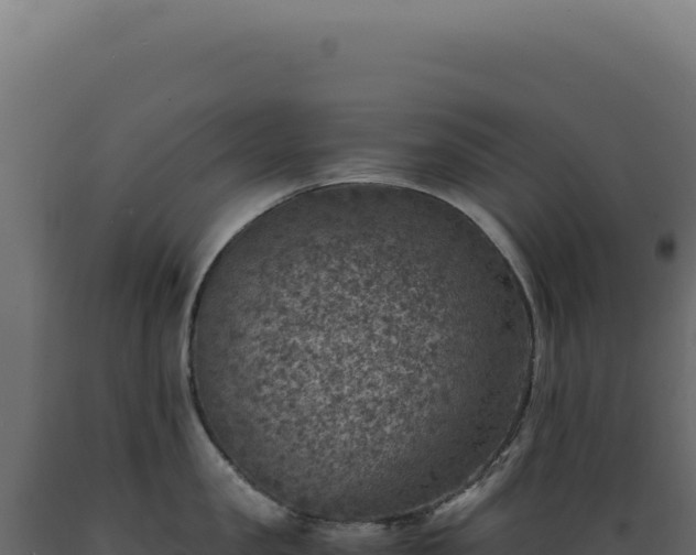 X0000089970957200707061158