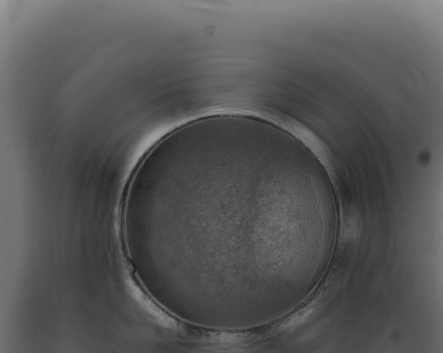 X0000089970958200707061158