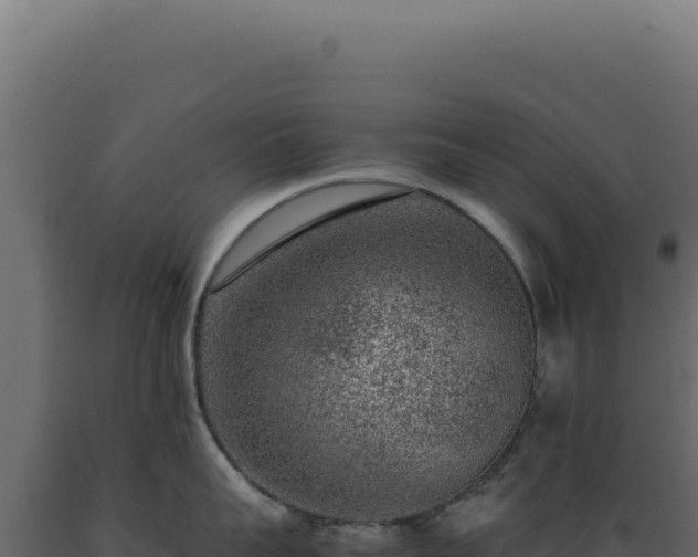 X0000089970959200707061158