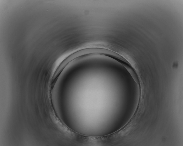 X0000089970960200707061158