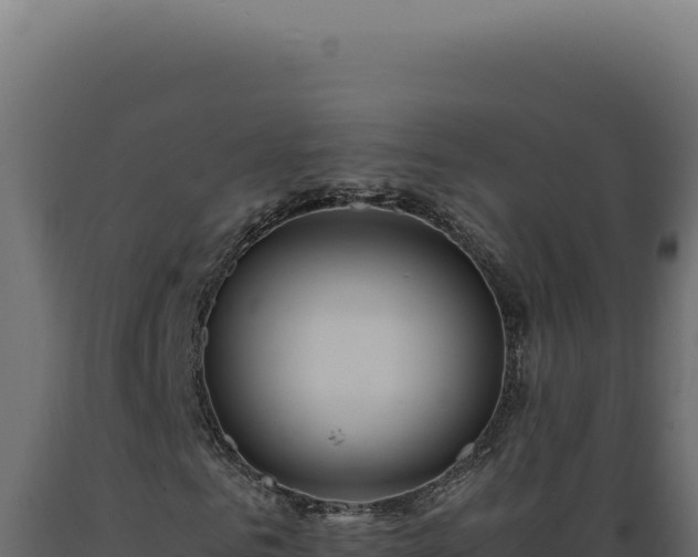 X0000089970961200707061157
