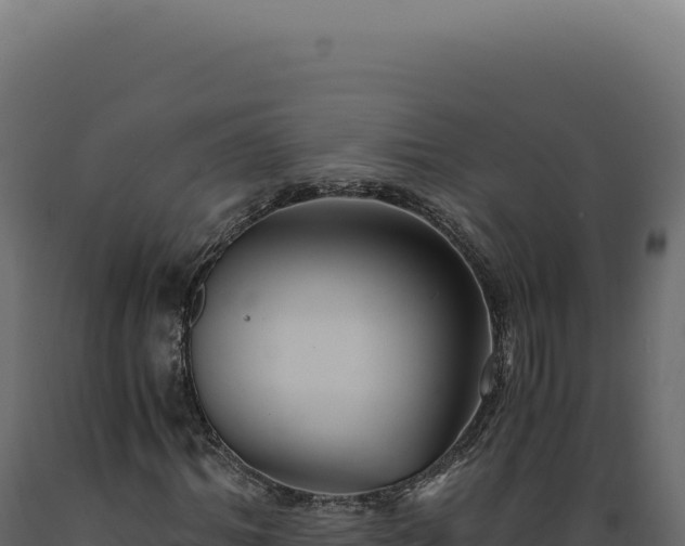X0000089970964200707061157