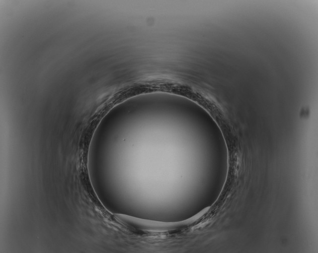 X0000089970965200707061157