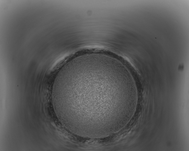 X0000089970967200707061157