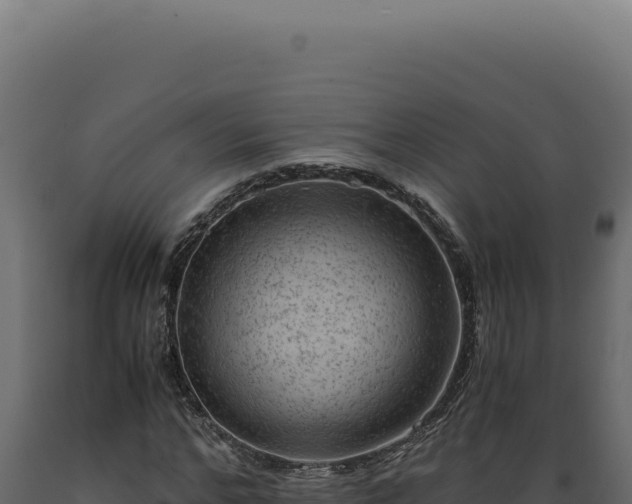 X0000089970968200707061157