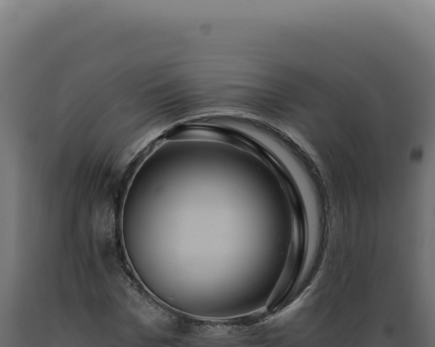 X0000089970969200707061157