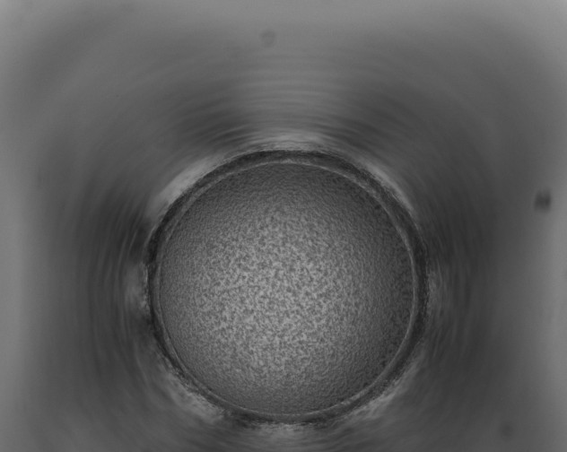 X0000089970970200707061157