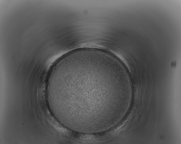 X0000089970971200707061157