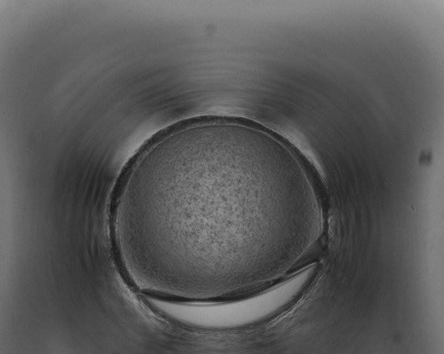 X0000089970972200707061157