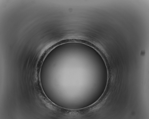 X0000089970974200707061157