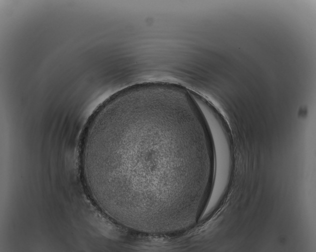 X0000089970975200707061157