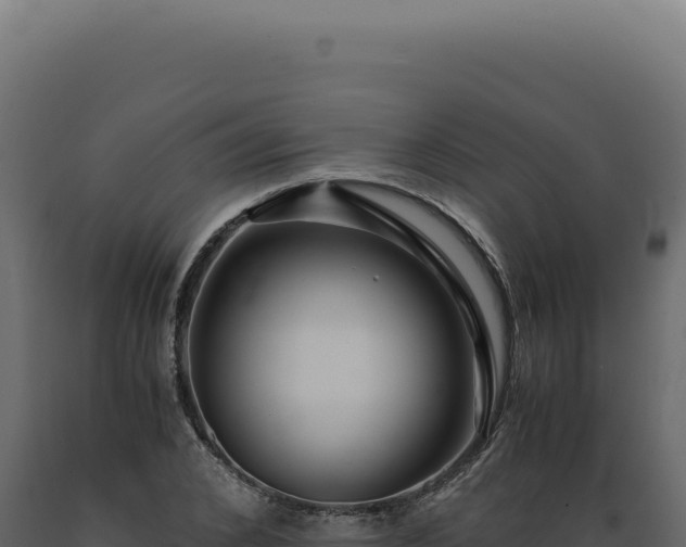X0000089970976200707061157