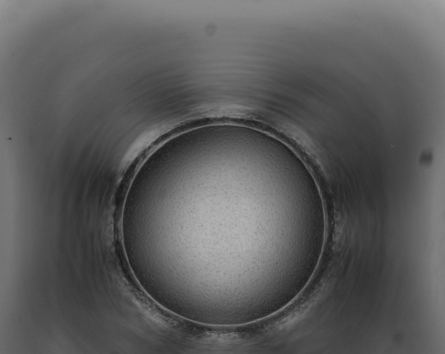 X0000089970978200707061157