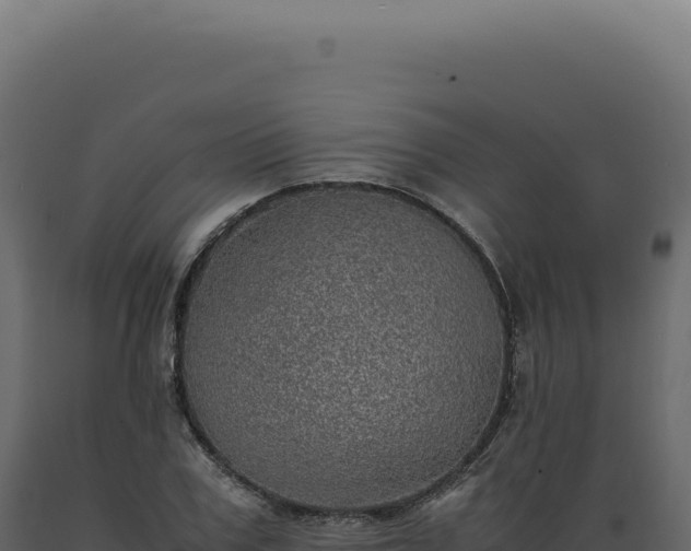 X0000089970979200707061157