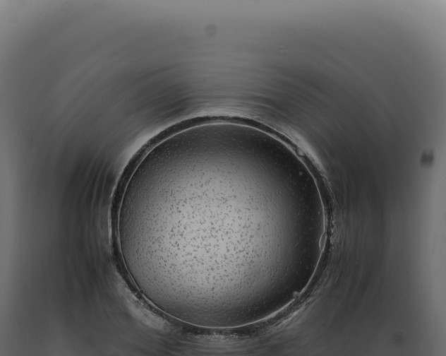 X0000089970980200707061157
