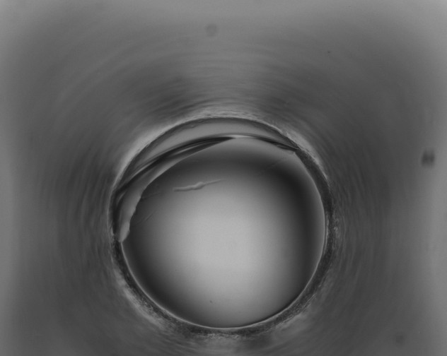 X0000089970981200707061157