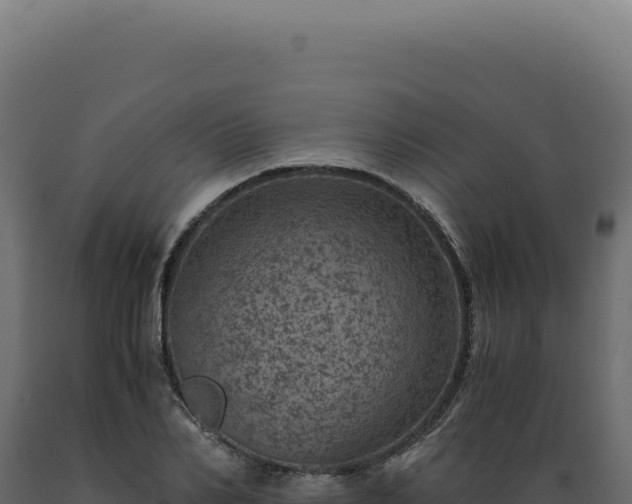 X0000089970982200707061157