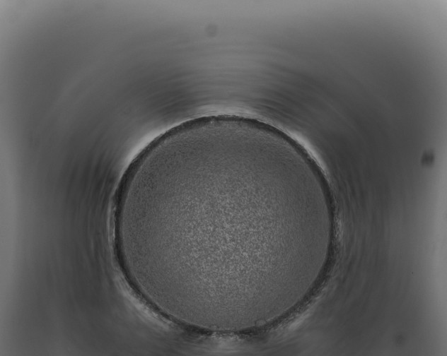X0000089970983200707061157