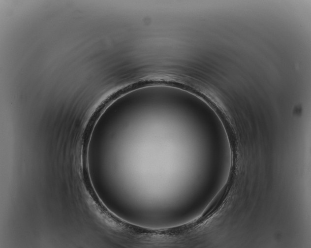 X0000089970984200707061157