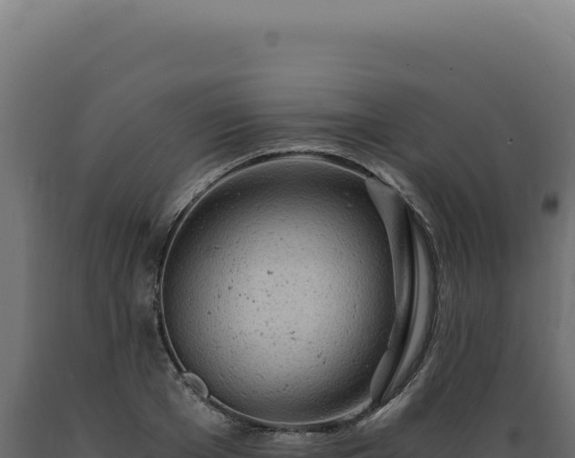 X0000089970985200707061157