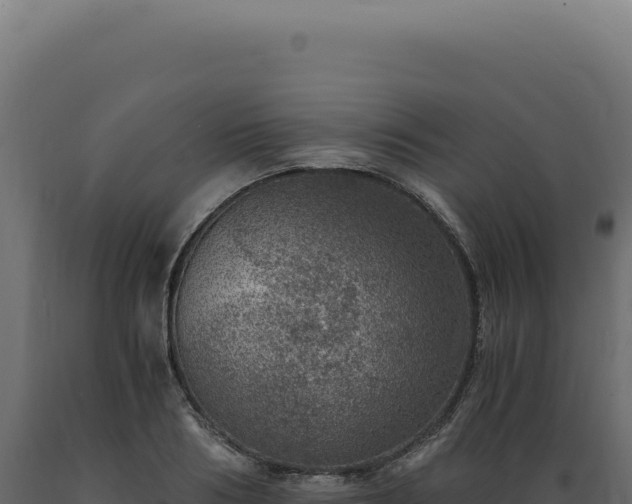 X0000089970986200707061157