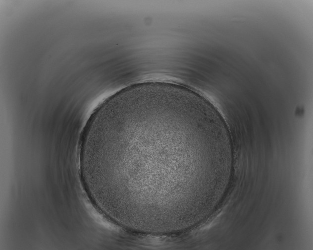 X0000089970987200707061157