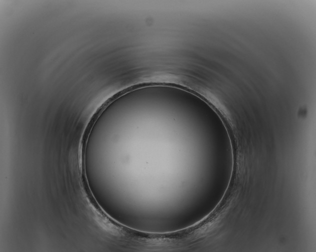 X0000089970988200707061157