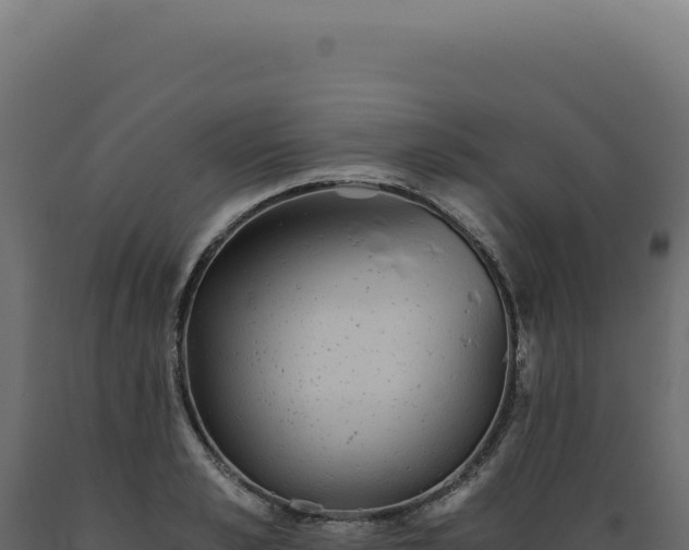 X0000089970989200707061157