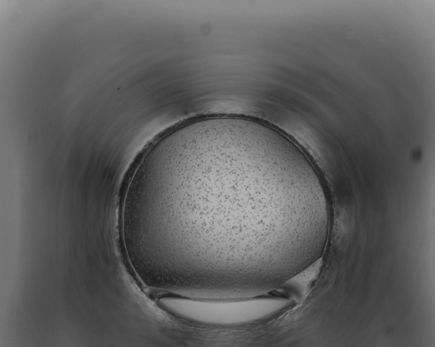 X0000089970992200707061157