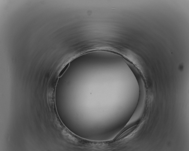 X0000089971001200707061157