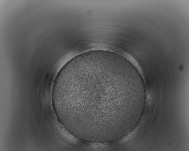 X0000089971002200707061157