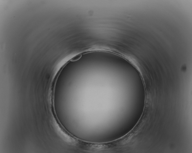 X0000089971003200707061157