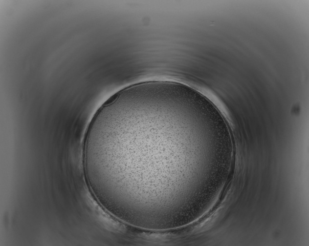 X0000089971004200707061157