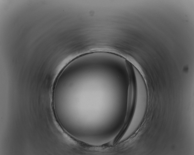 X0000089971005200707061157