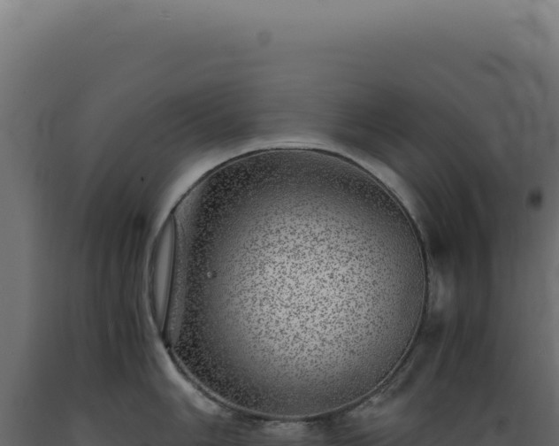 X0000089971006200707061157