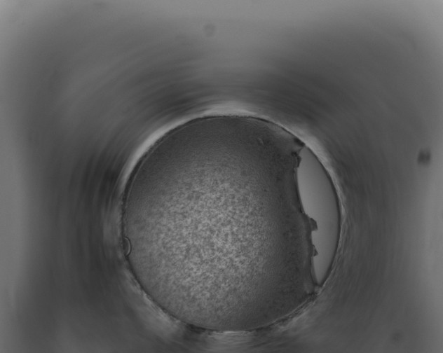 X0000089971008200707061157