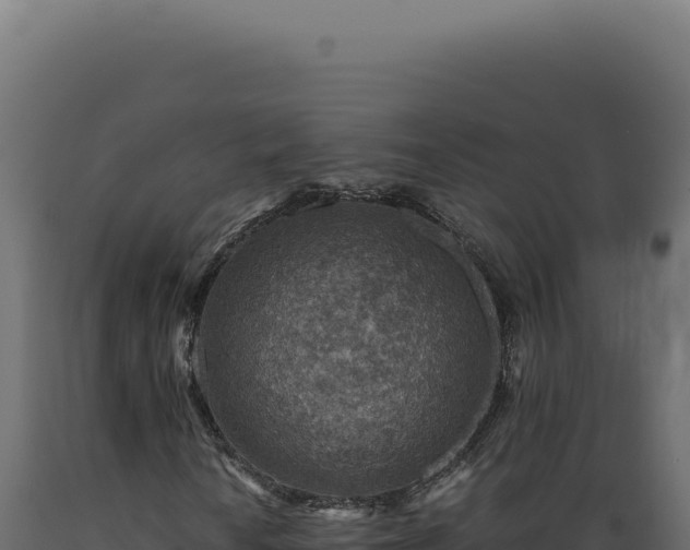 X0000089971010200707061156
