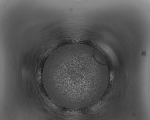 X0000089971011200707061156