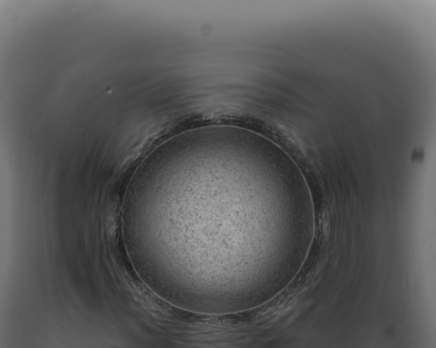 X0000089971012200707061156