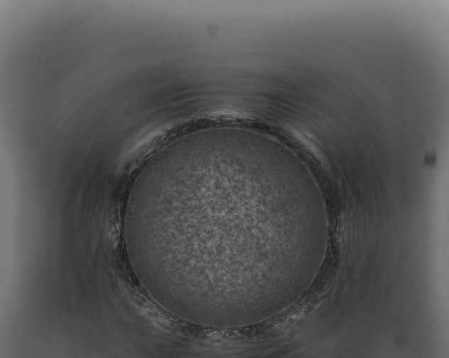 X0000089971015200707061156