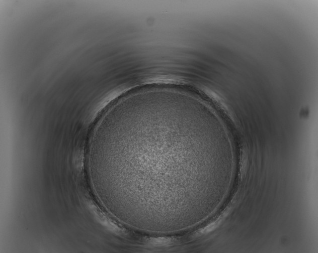 X0000089971017200707061156