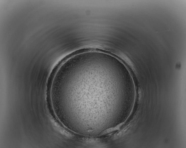 X0000089971020200707061156