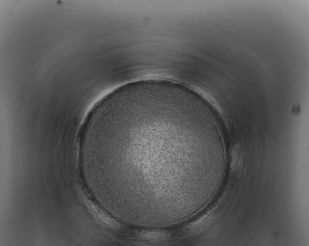 X0000089971021200707061156