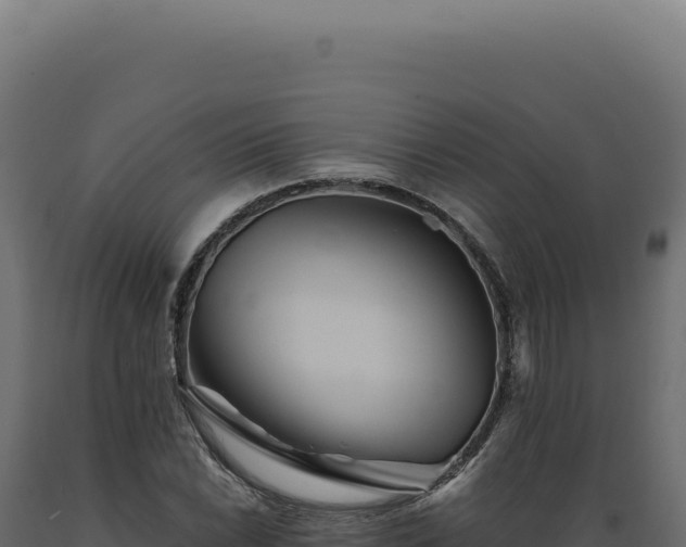 X0000089971022200707061156